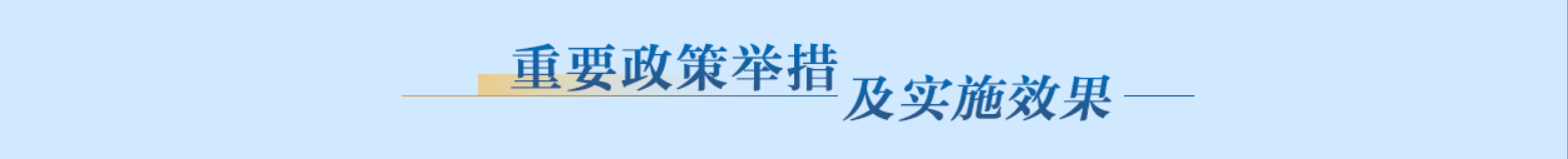 重要政策舉措及實(shí)施效果